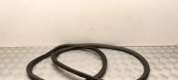 Opel Crossland X Rubber seal rear door 39120623