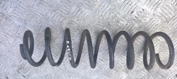 Renault Megane II Rear coil spring