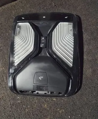 BMW 3 G20 G21 Front seat light 5A25208 28725719 3201900350