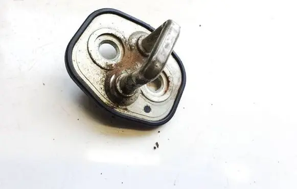Citroen C4 I Rear door lock loop/hook striker 