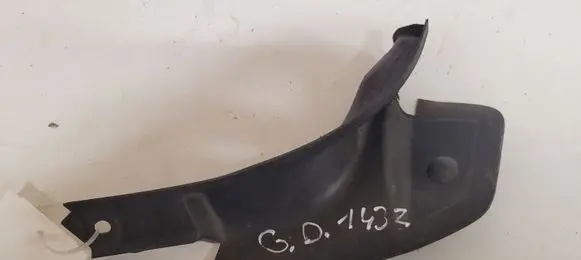 Rear/tail light trim molding