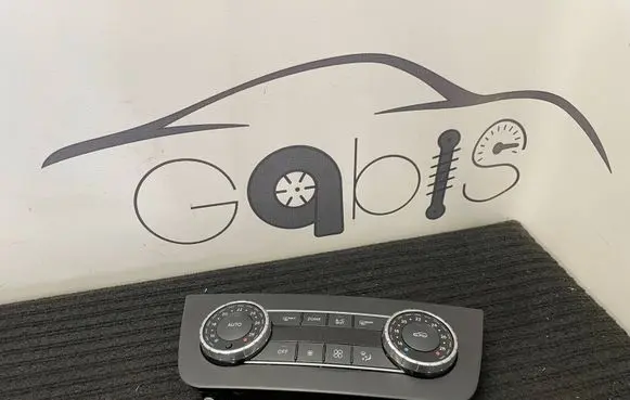 Mercedes-Benz GLE (W166 - C292) Climate control unit A1669003217