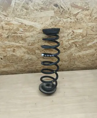 Rear coil spring