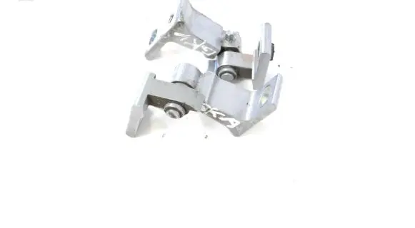 Rear door lower hinge