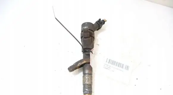Renault Scenic I Fuel injector 0445110110B