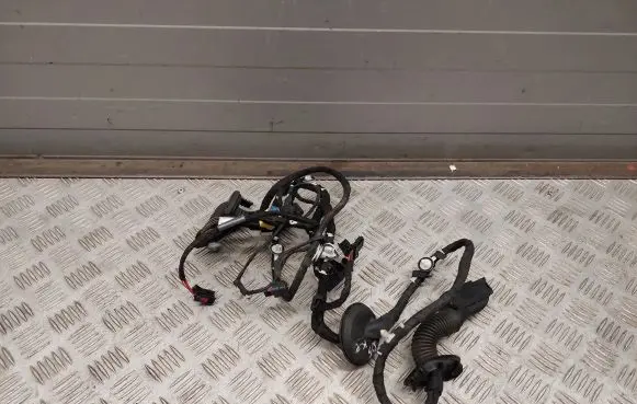 Audi Q5 SQ5 Front door wiring loom 8R0971029BA 8R0971029