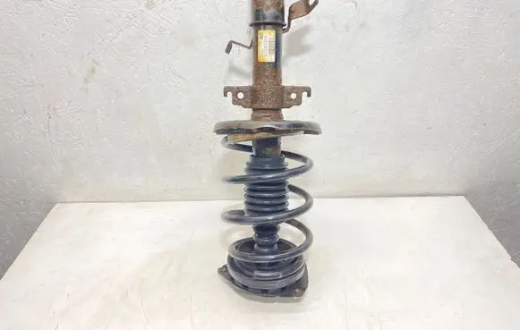 Renault Scenic III - Grand scenic III Front shock absorber with coil spring 543020017R E4606701 09191914