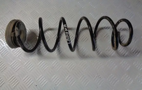 Renault Laguna III Rear coil spring 7700416162