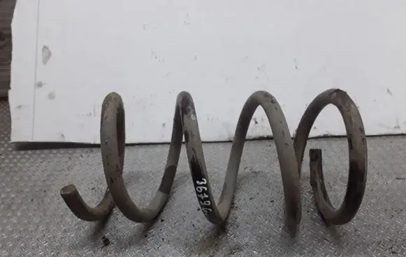 Rear coil spring