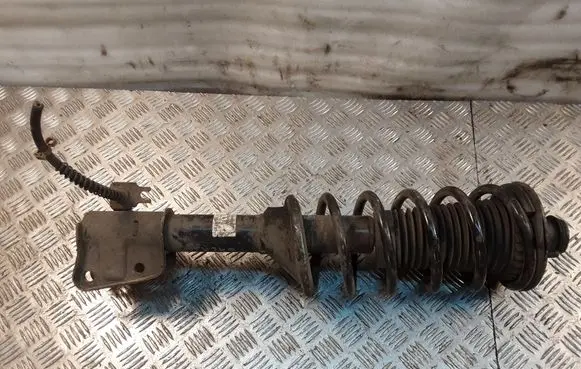 Land Rover Freelander Rear shock absorber with coil spring RPB000050