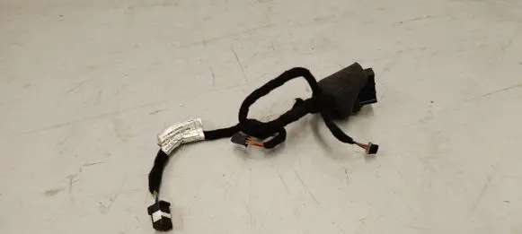 Other wiring loom