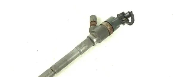 Opel Antara Fuel injector 0445110270 96440397