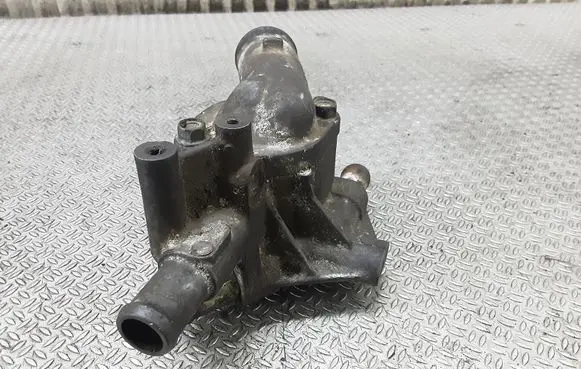 Thermostat/thermostat housing
