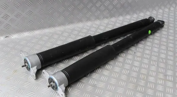 Rear shock absorber/damper