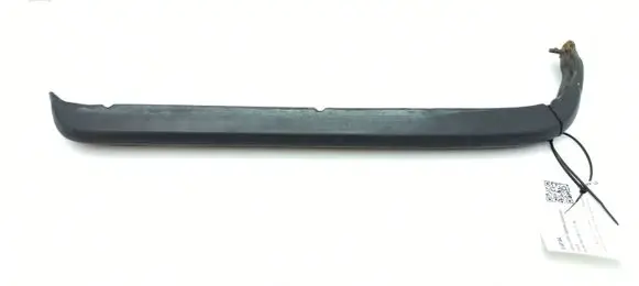 Rear/tail light trim molding