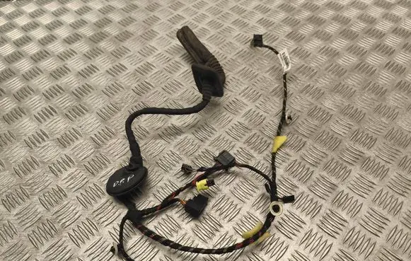 Skoda Fabia Mk3 (NJ) Front door wiring loom 4L0971841