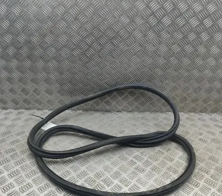 Peugeot 308 Rubber seal front door (on door) 9677519680