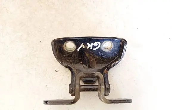 Rear door lower hinge