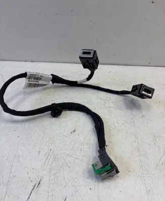 Other wiring loom