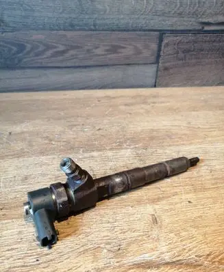 Opel Signum Fuel injector