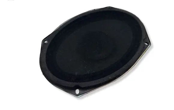 Chrysler Pacifica Front door speaker 05091019AB