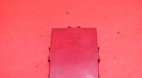 Engine control unit/module ECU