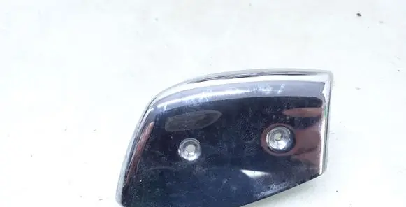 Other front door trim element