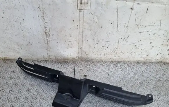 Engine bonnet/hood lock trim molding