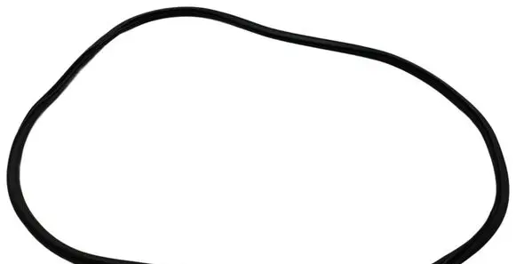 Volkswagen ID. Buzz Front door rubber seal 1T3867912D