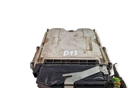 Peugeot 206 Engine control unit/module 9637089980 0281010250