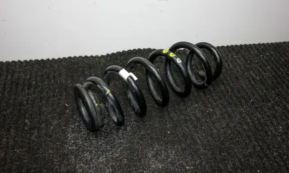 Rear coil spring