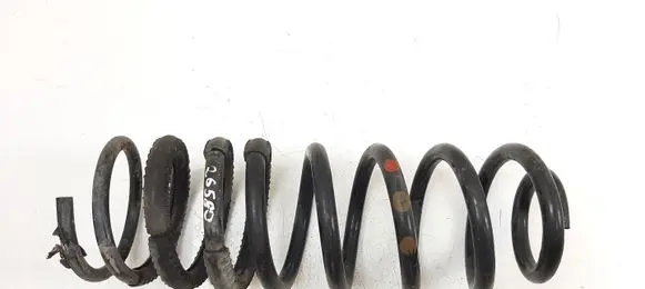 Ford Transit Rear coil spring