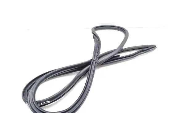 Toyota Prius (XW50) Rear door rubber seal (on body) 
