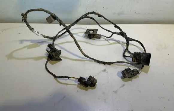 Volkswagen T-Roc Parking sensor (PDC) wiring loom 2GA971095 TAB016284DD