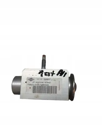 Ford B-MAX Air conditioning (A/C) expansion valve AV6N149849BA