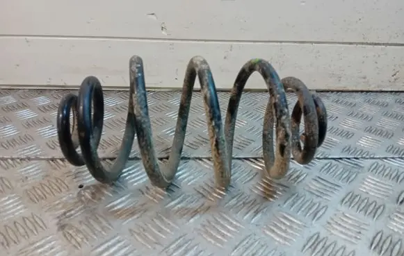 Volkswagen PASSAT B5 Rear coil spring