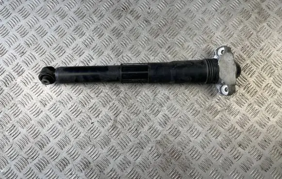 Volkswagen ID.5 Rear shock absorber/damper 1EA512013BD
