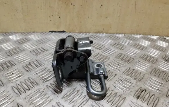 Rear door lower hinge