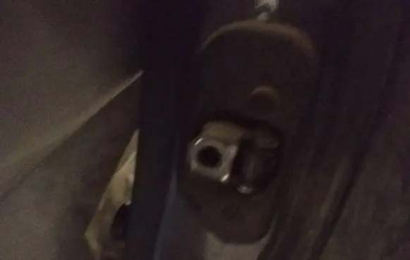 Ford Focus Rear door check strap stopper