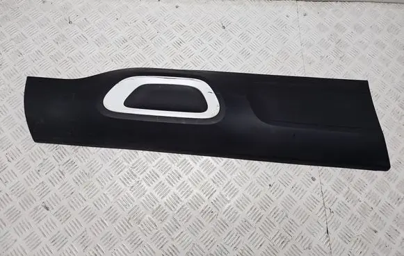 Front door trim (molding)