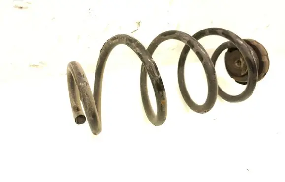 Rear coil spring