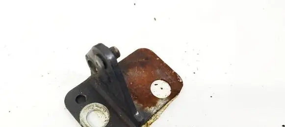 Rear door lower hinge