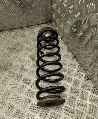 Rear coil spring