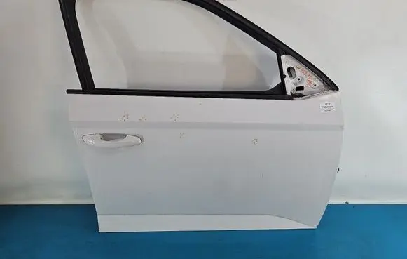 Skoda Fabia Mk3 (NJ) Front door IMPRK1569794