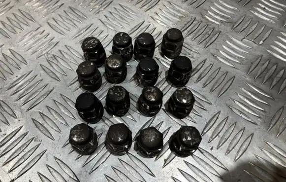 Honda Civic X Nuts/bolts DG12106