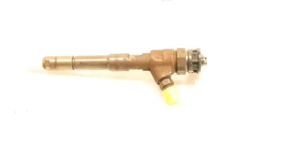 Dacia Dokker Fuel injector 0445110485