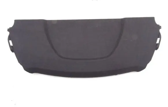 Renault Laguna III Parcel shelf 794200016R