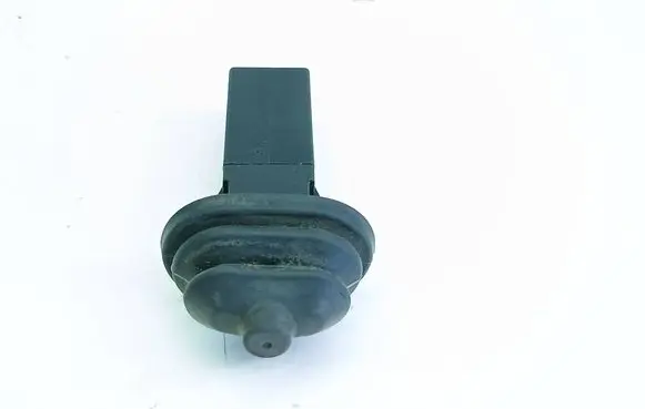 BMW X5 E70 Fuel tank opening switch 82289392