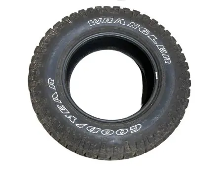 Dodge RAM R18 winter tire 