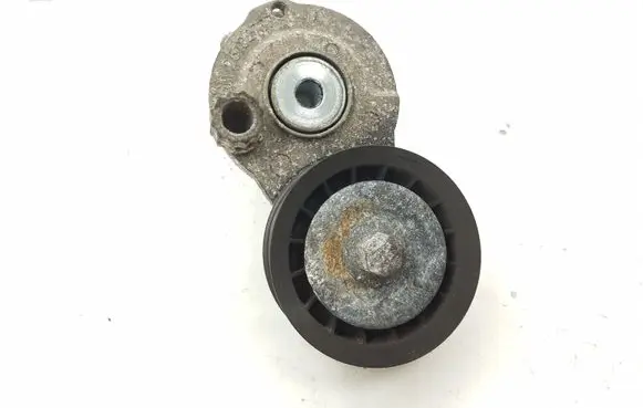 Chevrolet Captiva Alternator belt tensioner 25182787